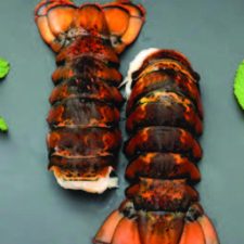 BARAKAH-FISH-BROCHURE-2023-MM (10)