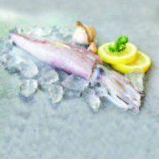 BARAKAH-FISH-BROCHURE-2023-MM (6)