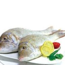 WhatsApp Image 2024-01-08 at 3.18.30 PM (1)