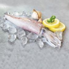 WhatsApp Image 2024-01-08 at 3.18.30 PM (3)